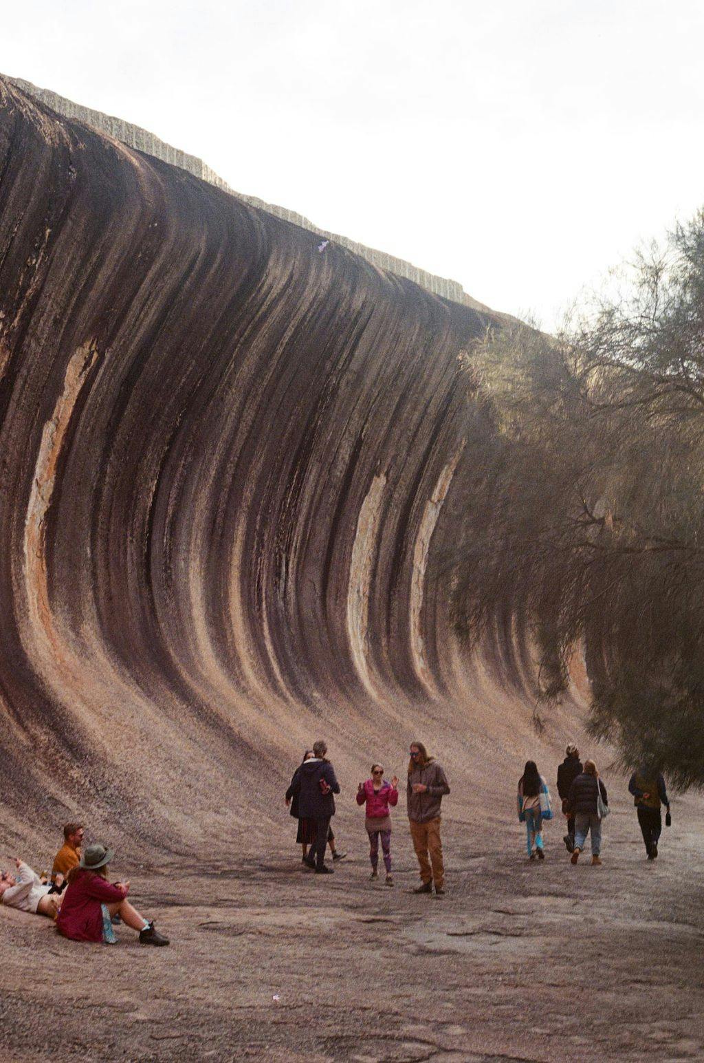 Wave Rock Guide