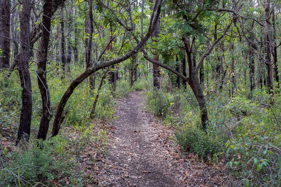 The 20 Best Day Hikes In Western Australia - Perth Is OK!