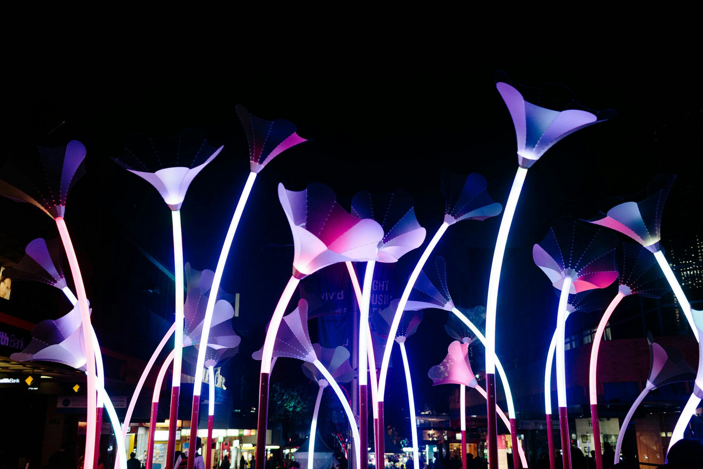 The Winter Lights Festival Returns This August! Here’s What You Need To