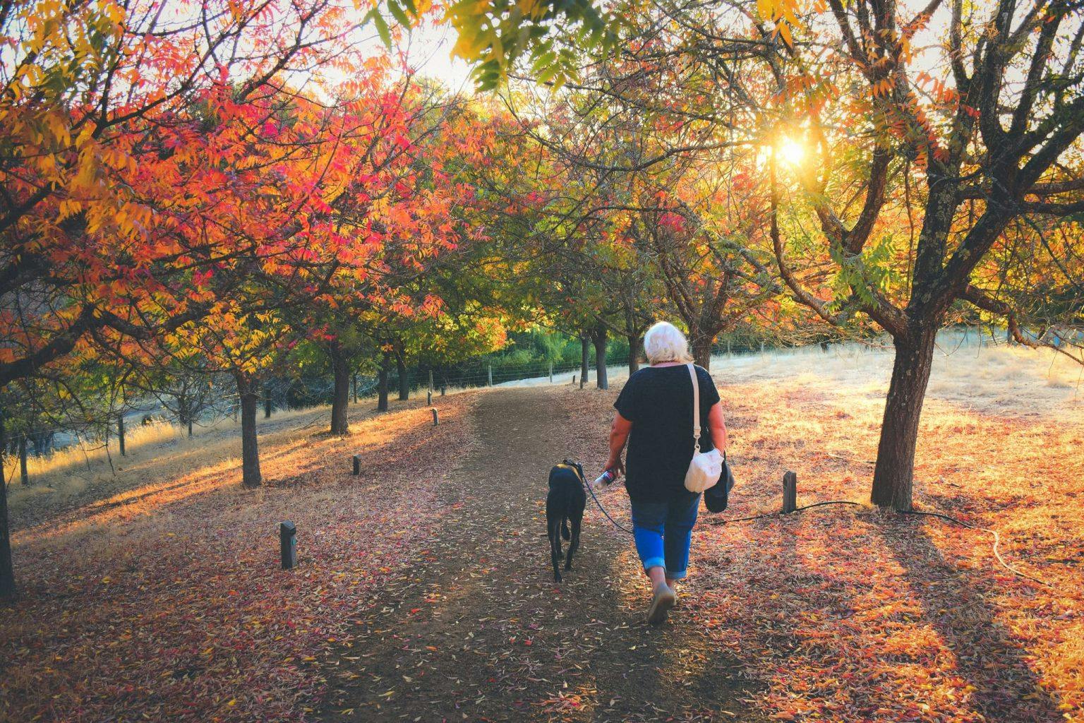 Golden Valley Tree Park