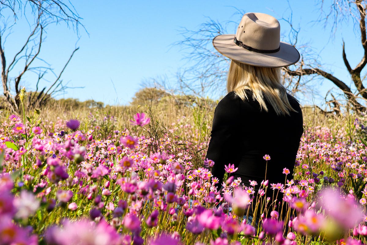 Wildflower trails Australia's golden outback