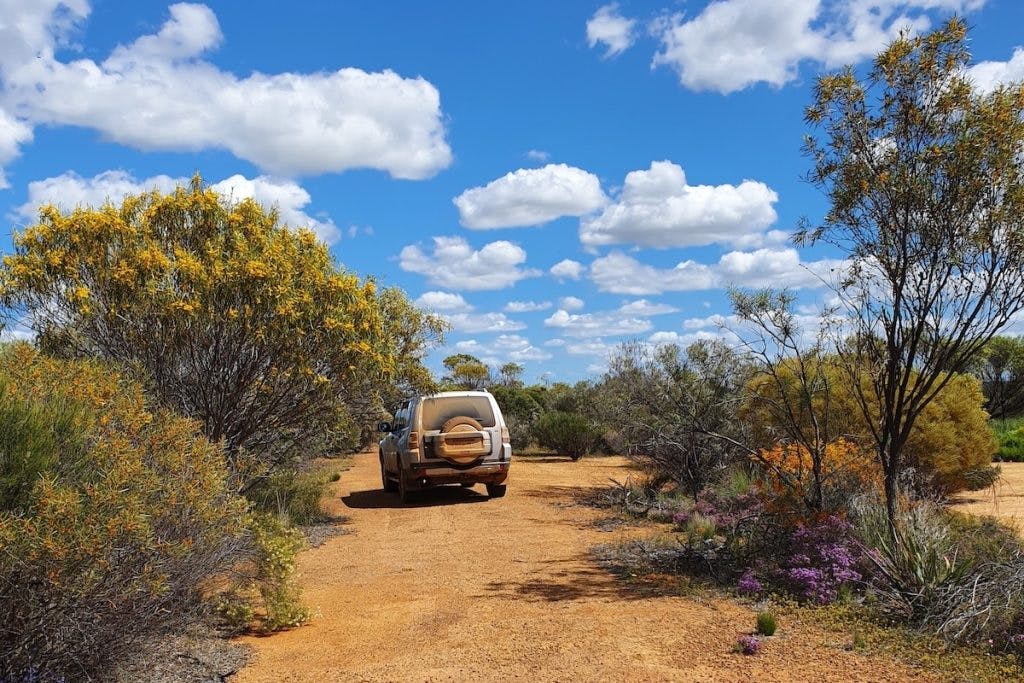 Merredin Wildflowers