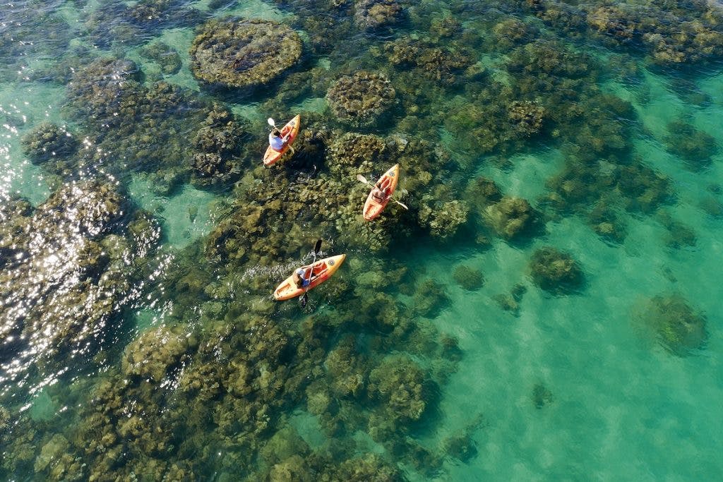 Mackeral Islands Snorkelling