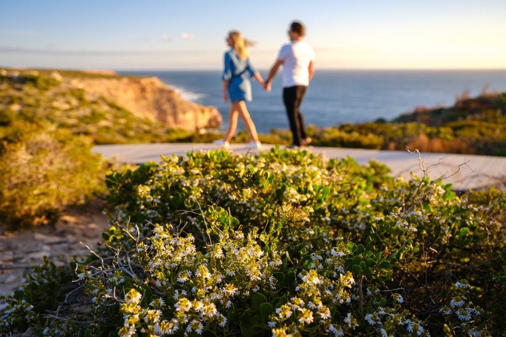 Aus Coral Coast Wildflowers