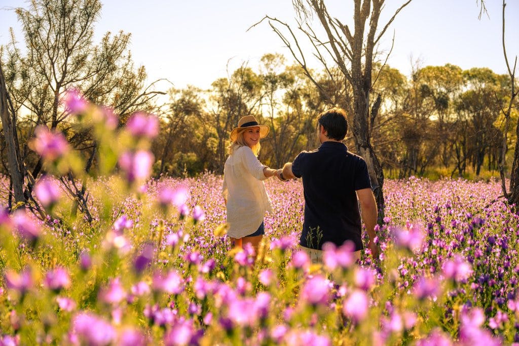 Coral Coast Wildflowers