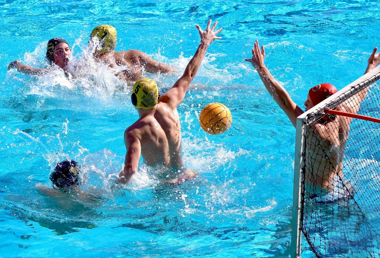 Water Polo WA