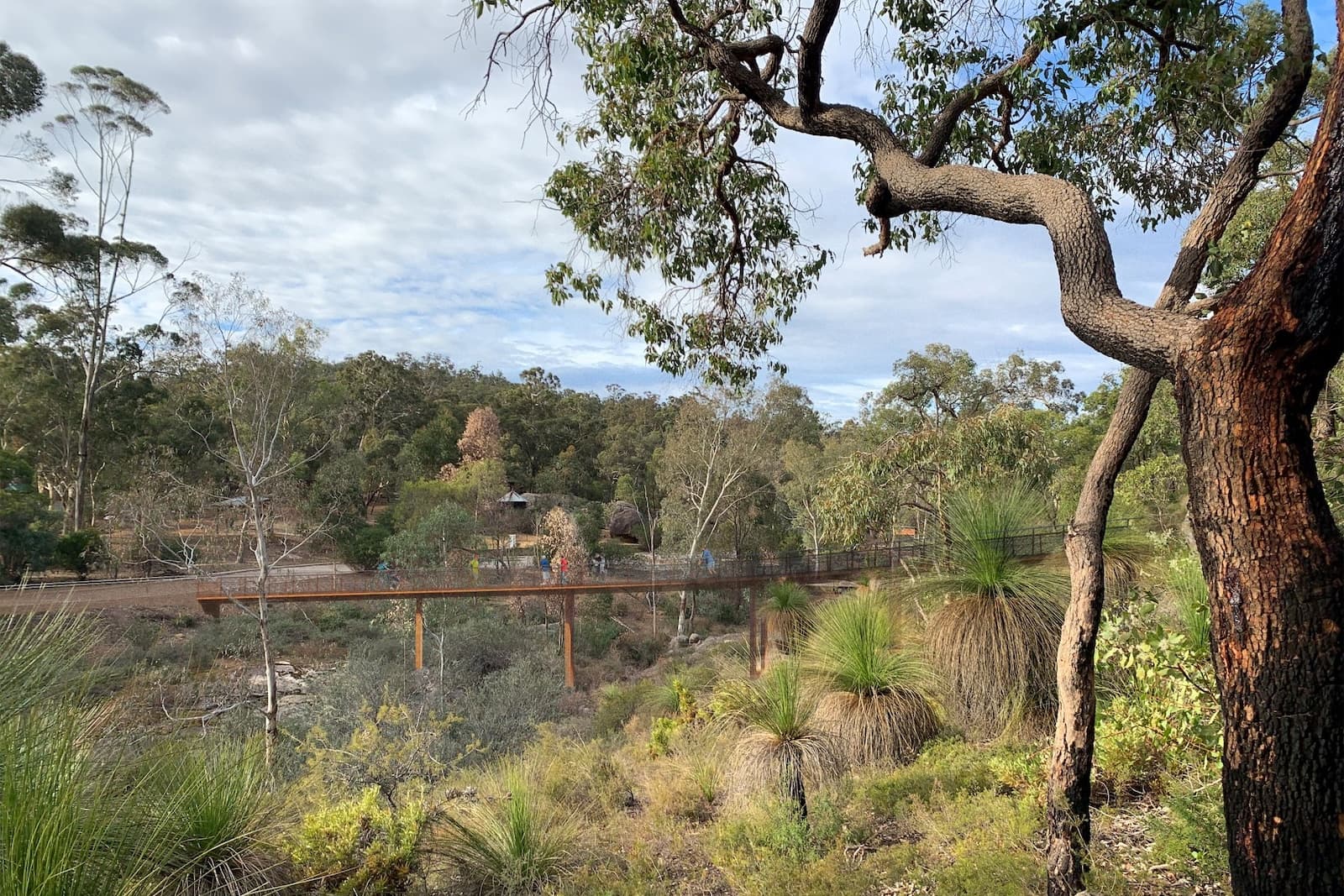 John Forrest National Park bridge