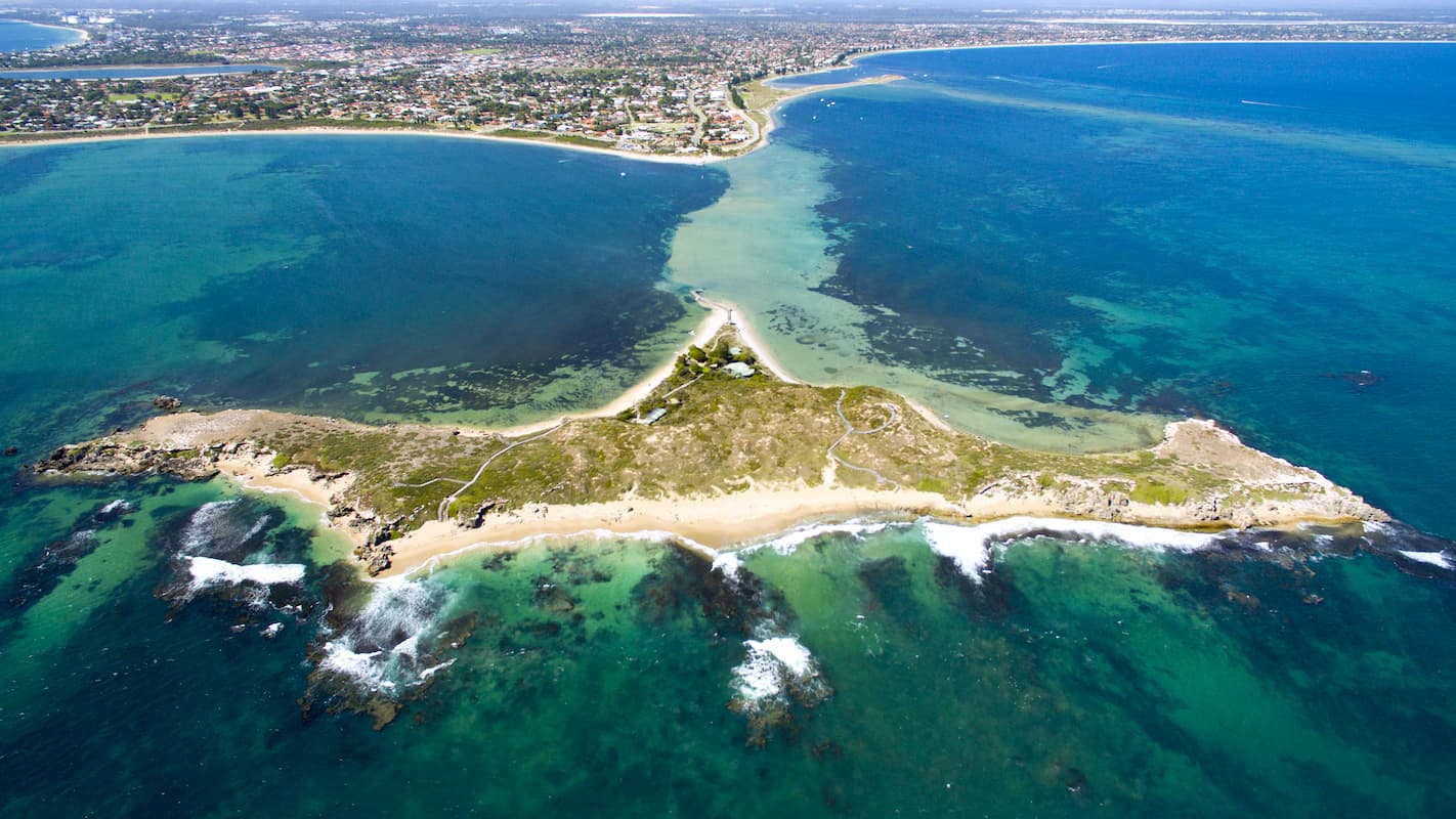 Penguin Island Shoalwater Islands Marine Park Rockingham Western Australia