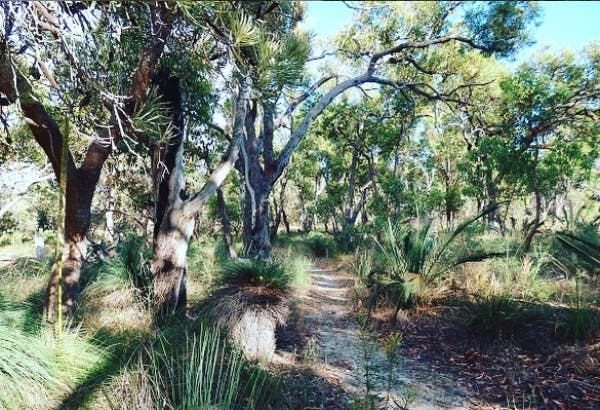 Perth Walking Trails Wireless Hill Park