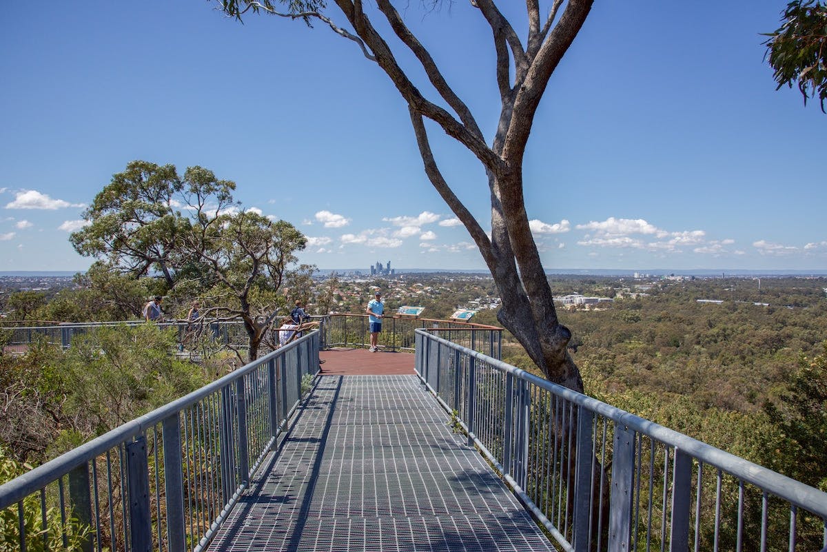Perth Walking Trails Bold Park
