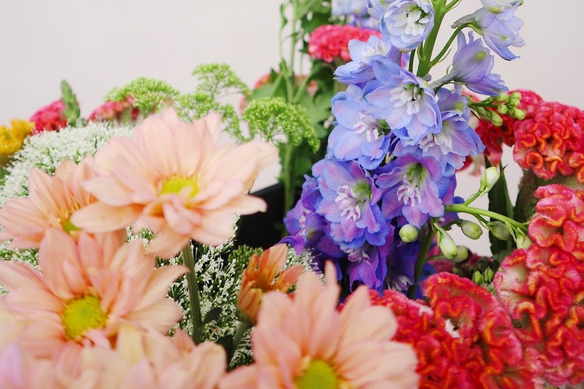 Perth's best florists who deliver, Little Post Co