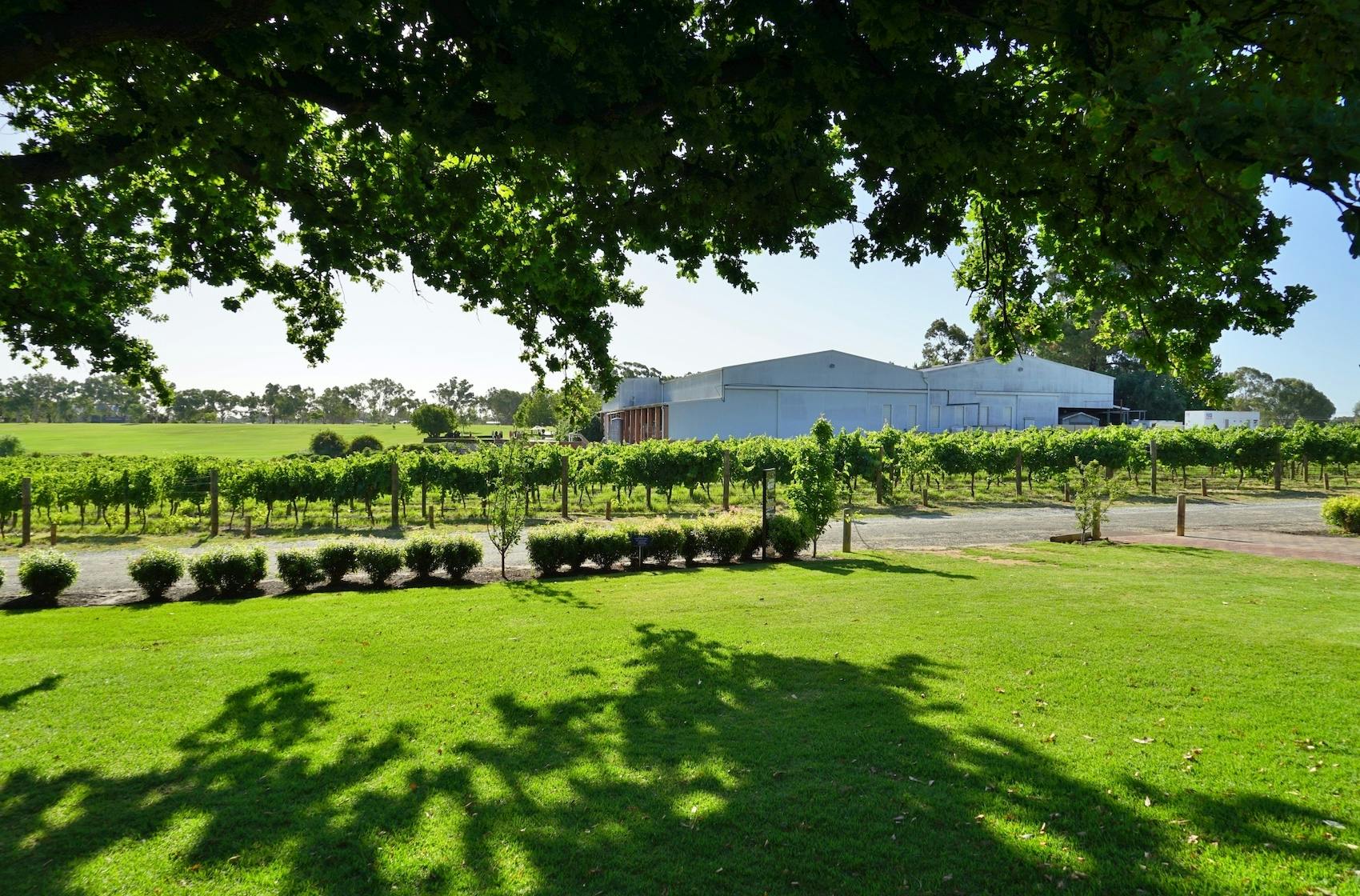 The Best Things to do in the Swan Valley