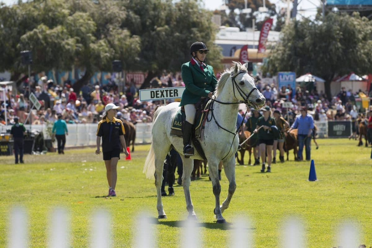 Perth Royal Show 2021 Horse Dressage