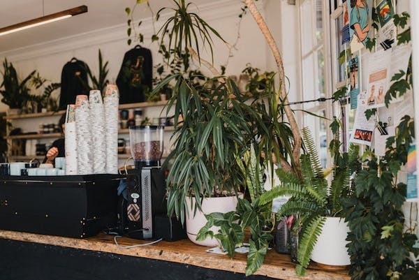Plant-filled Cafes in Perth, Stomp Coffee, North Perth