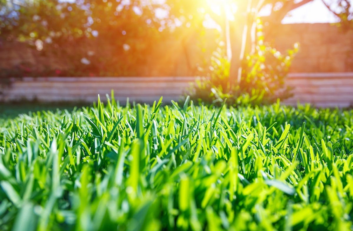 Positively Green Lawn Care Perth