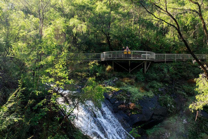 RAC Karri Valley Resort Beedelup Falls
