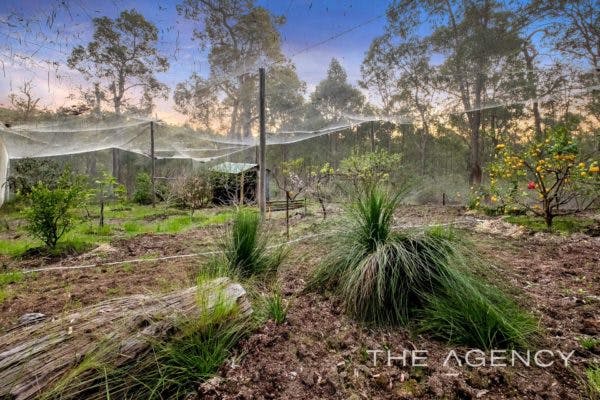 This Hills House (Complete With Sound Temple) Is Now Up For Grabs - 100 Marshwood Place, Sawyers Valley