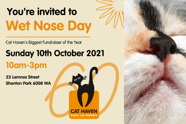 Cat Haven WA Wet Nose Day
