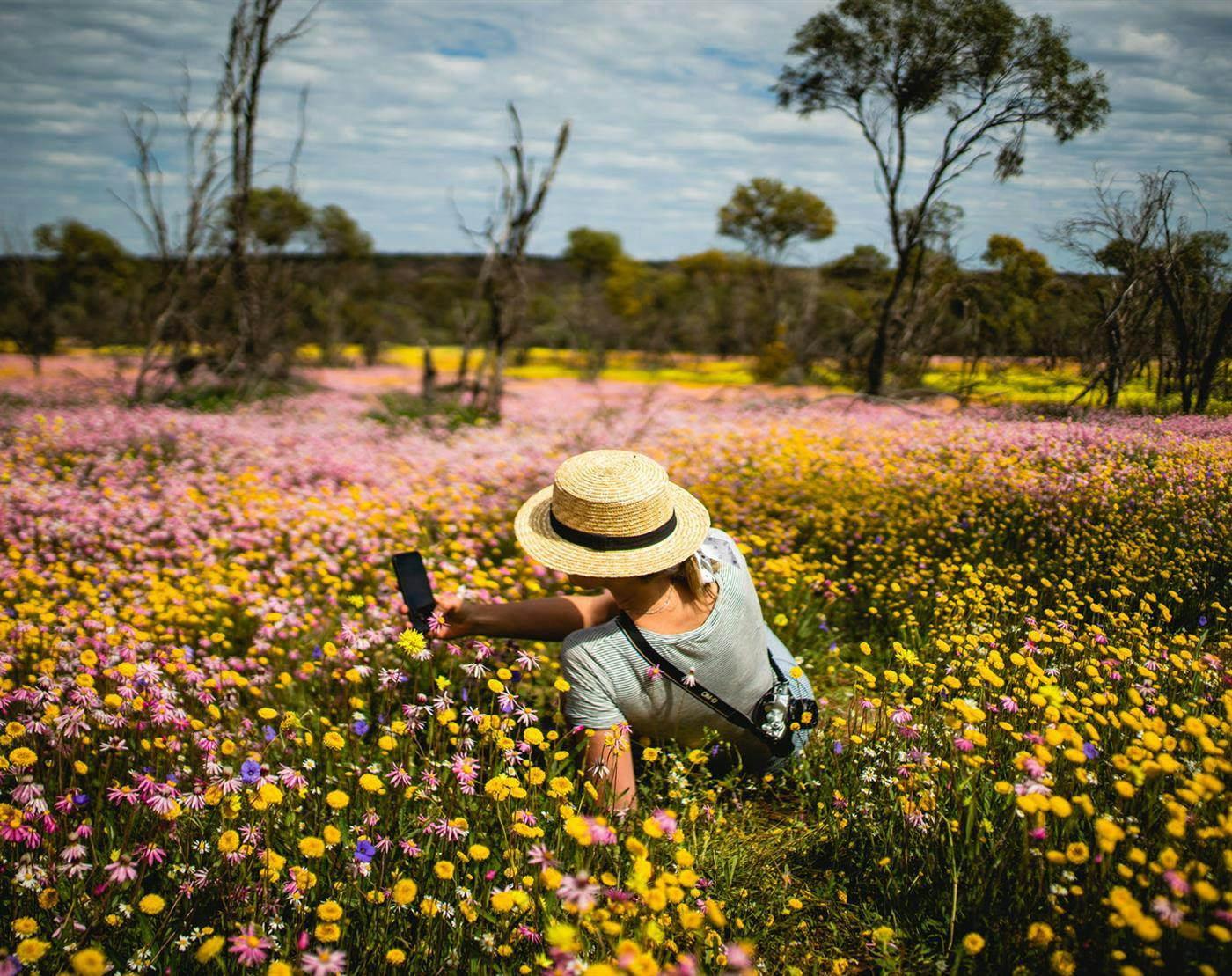 Everything You Need To Know: Coalseam Conservation Park