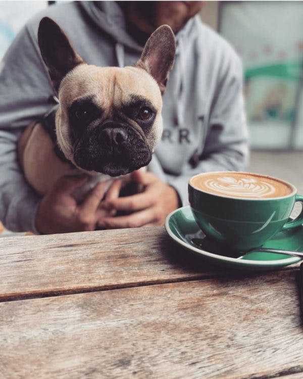 Perth's Best Dog Friendly Cafes, Brother of Mine, Baldivis