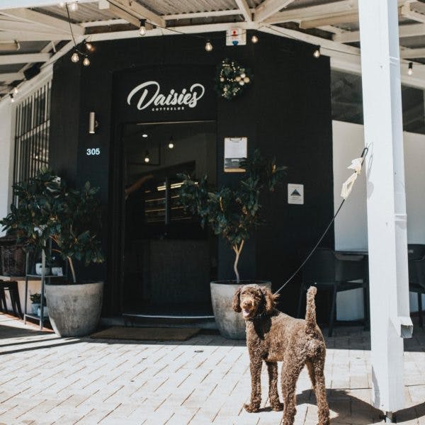 Perth's Best Dog Friendly Cafes, Daisies, Cottesloe
