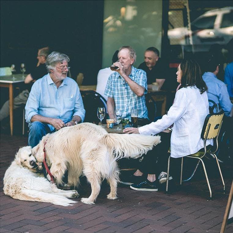Perth's Dog-Friendly Bars and Pubs, Juanita's, Subiaco