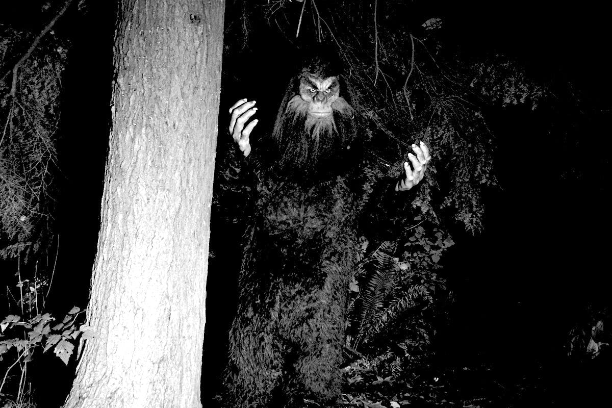 Perth's Spookiest Urban Legends, Bigfoot Yowie