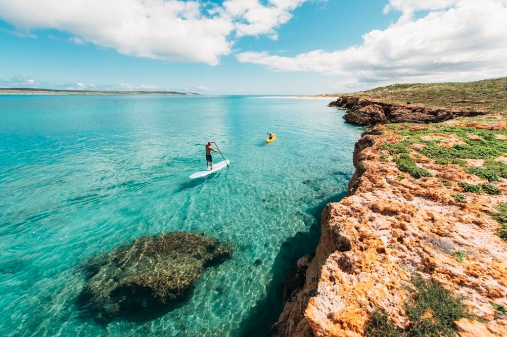 Everything You Need To Know: Shark Bay