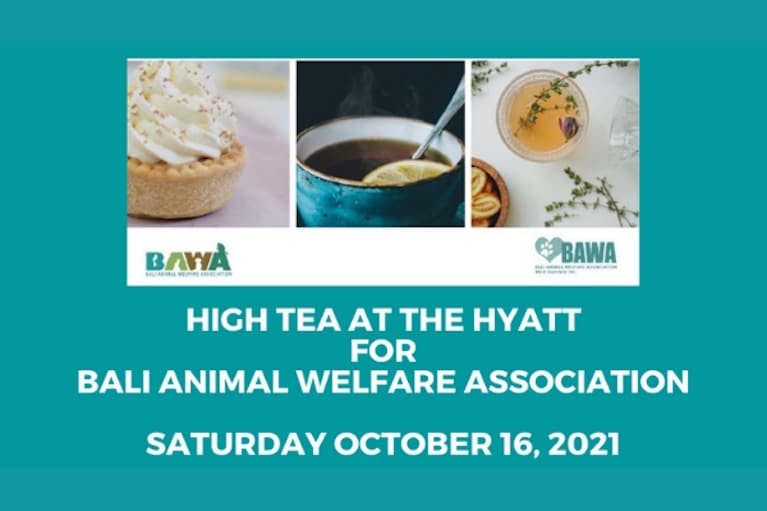 BAWA Hyatt High Tea