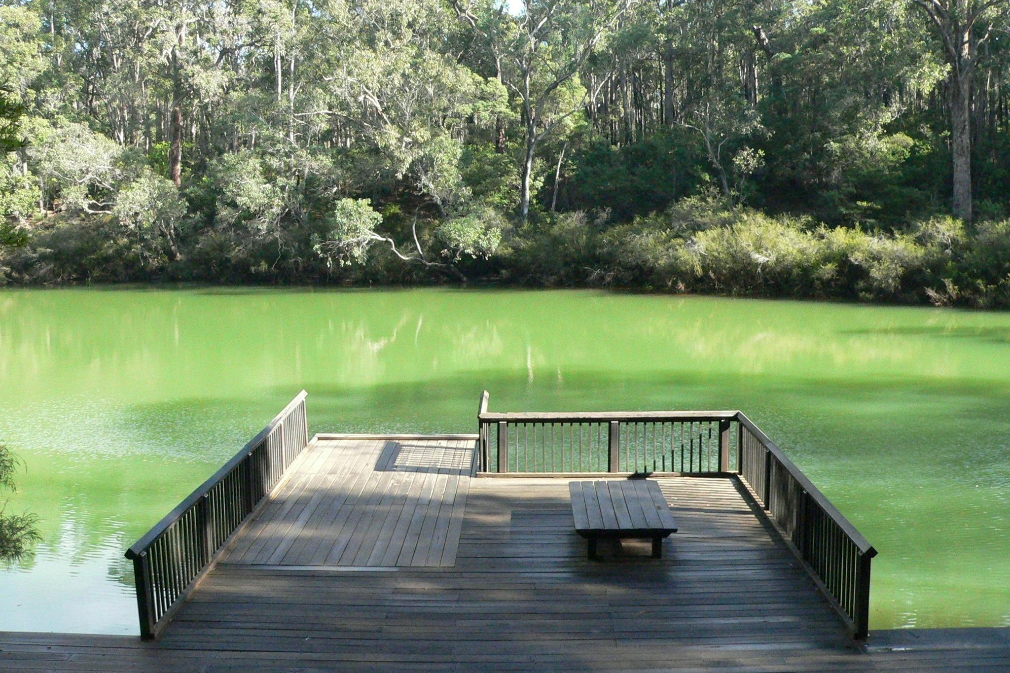 Barrabup Pool, Cambray State Forest
