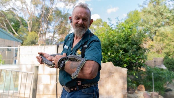 Family Friendly Activities In The Perth Hills, Armadale Reptile Centre