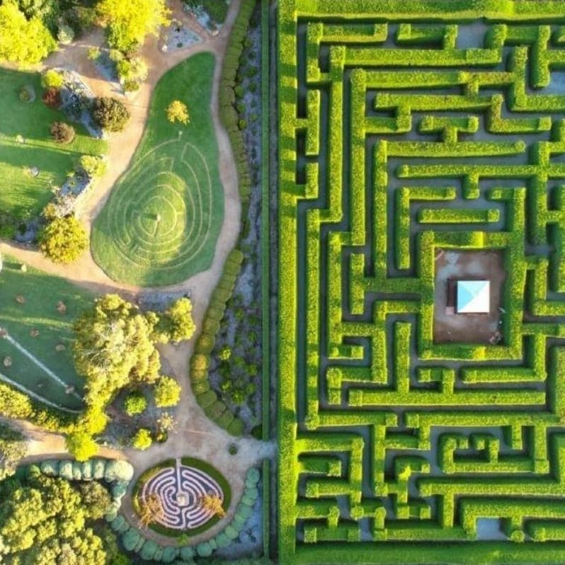 Family Friendly Activities Down South, A Maze'n, Margaret River