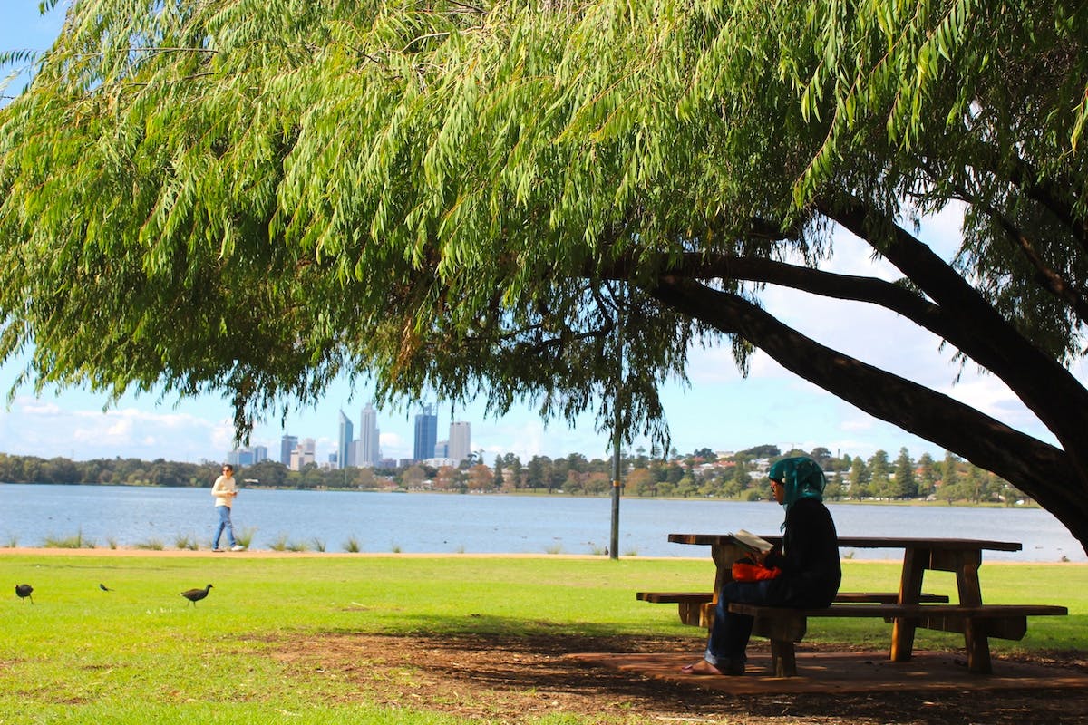 Relaxing Reading Spots Perth