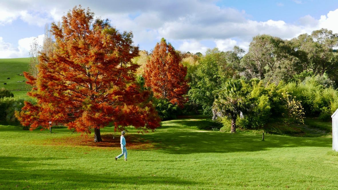What To Do Around Nannup And Balingup, Golden Valley Tree Park