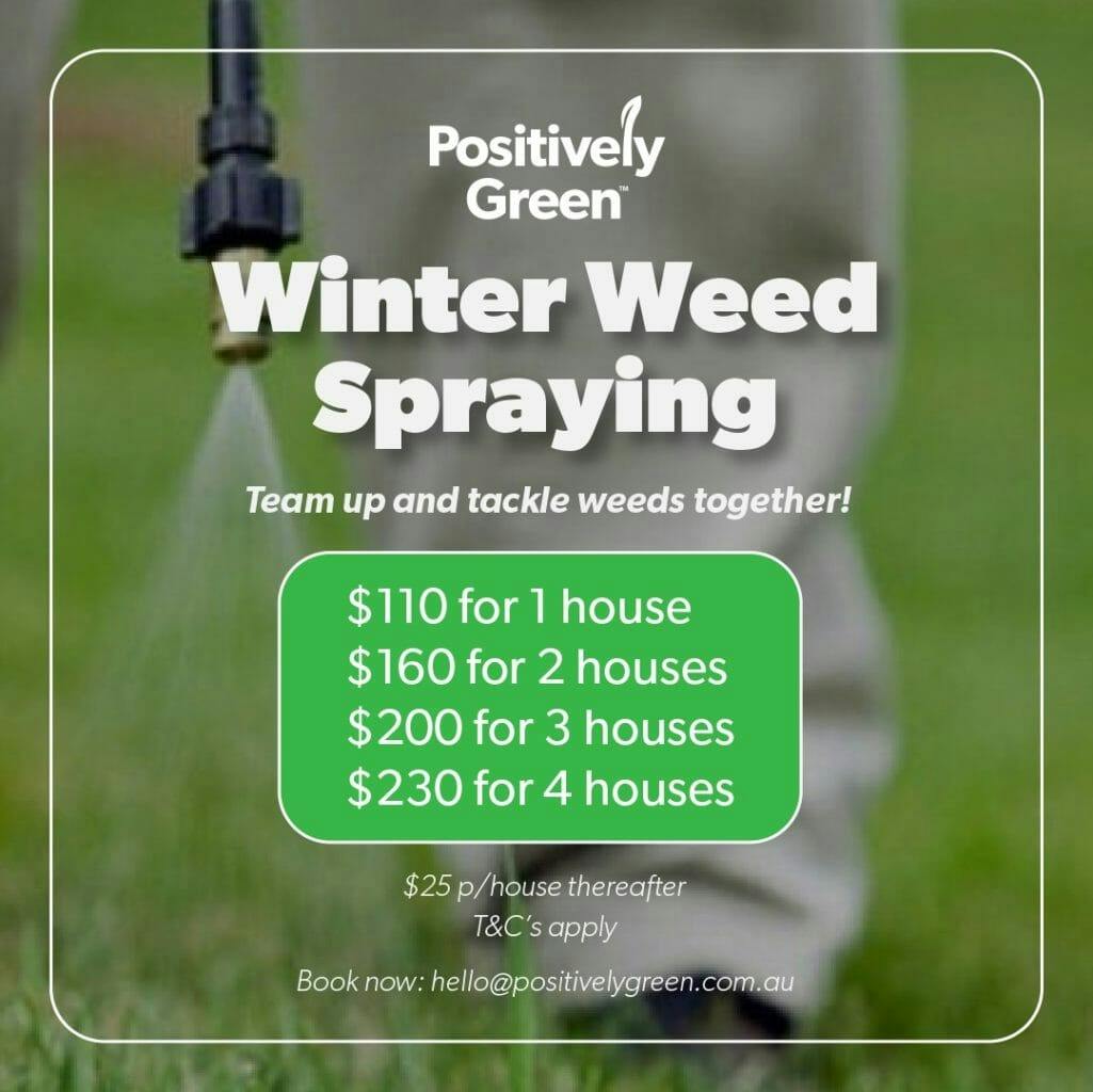 Winter Weeding Spray