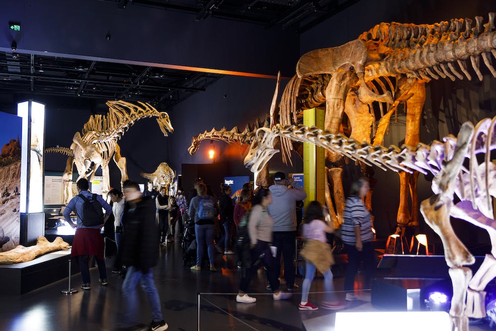 WA Museum Dinosaurs Of Patagonia