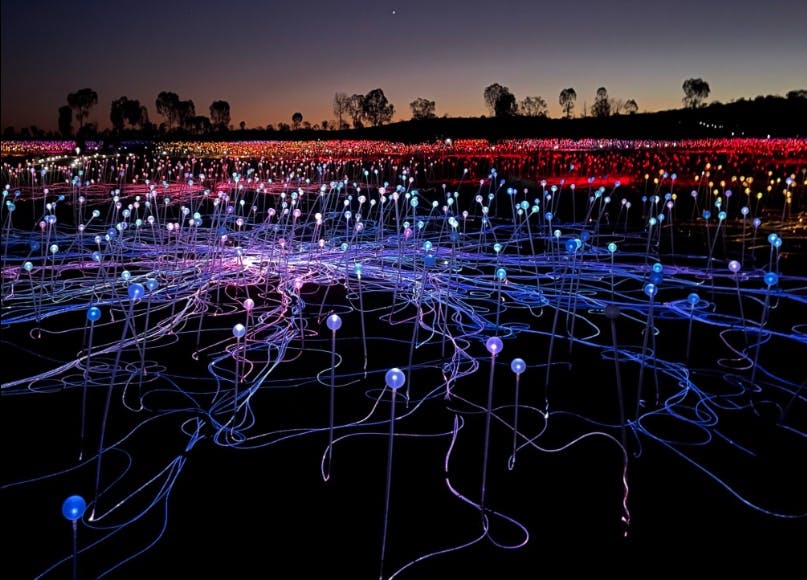 Uluru Field Of Lights