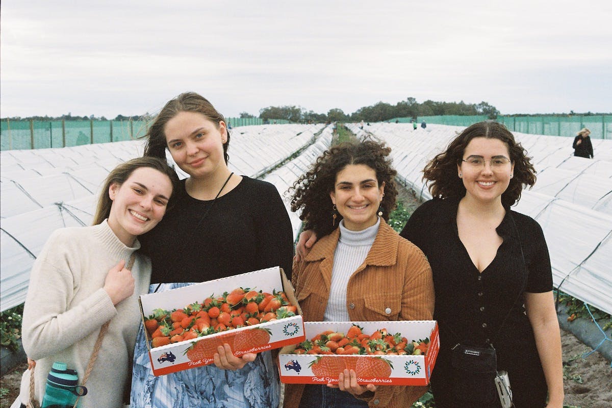 Strawberry Picking Perth