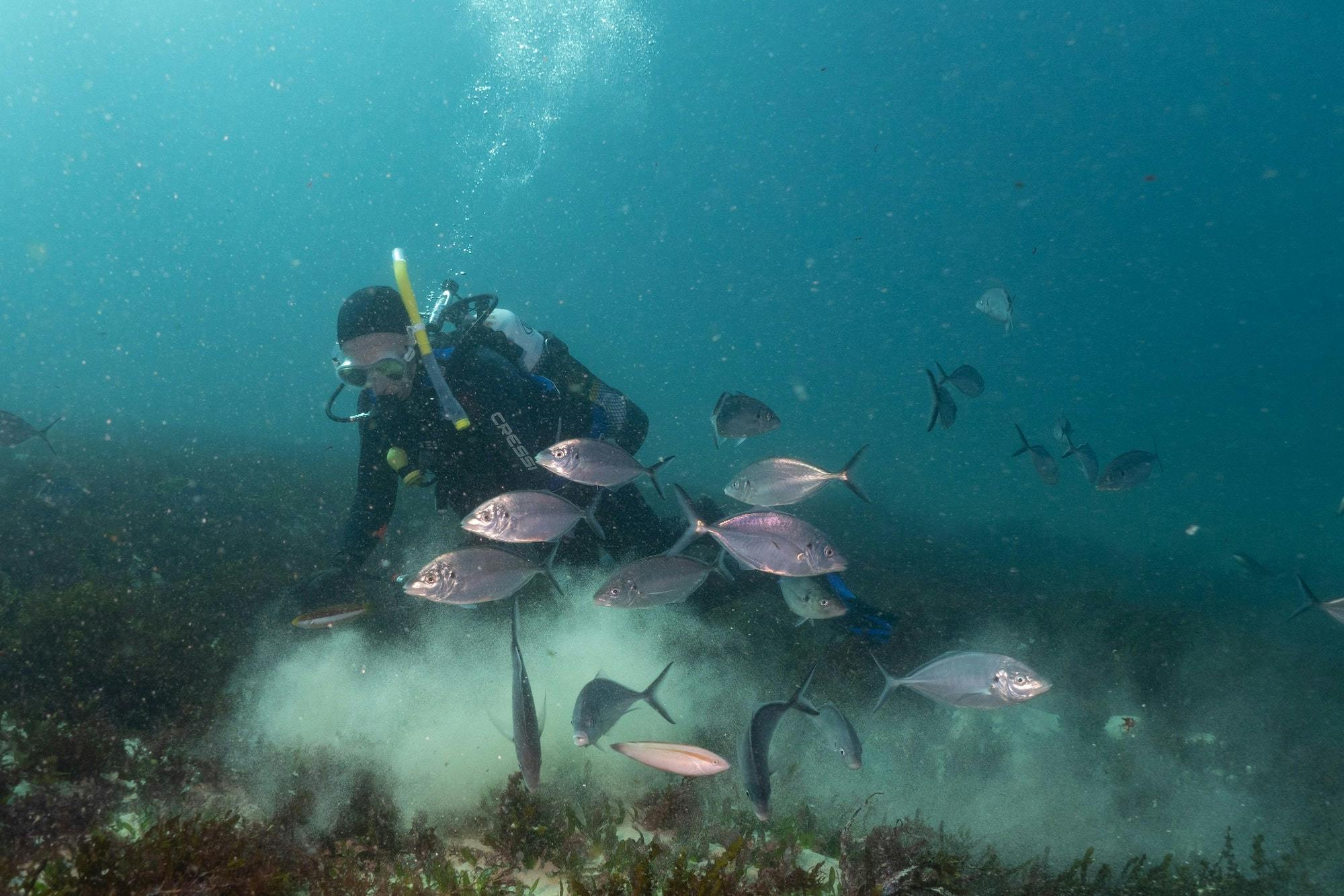 SCUBA Diving Perth Beginners