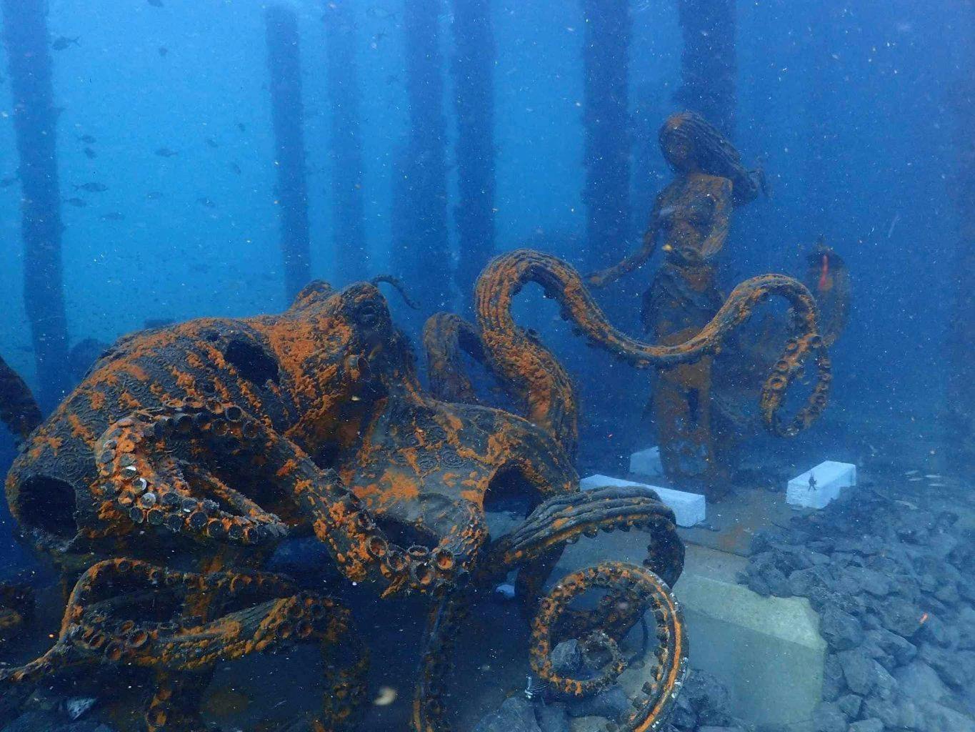 Busselton Jetty Underwater Sculptures