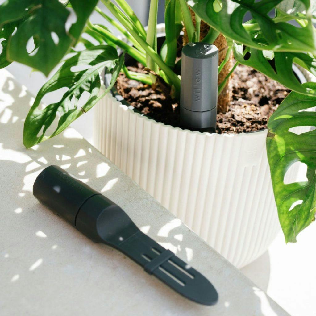 Perth Christmas Gift Guide, Willow indoor plant sensor