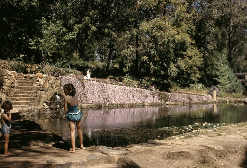 Araluen Botanic Park swimming pool, ca 1960-1961