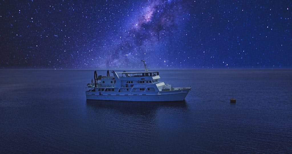 Eco Under The Stars Abrolhos