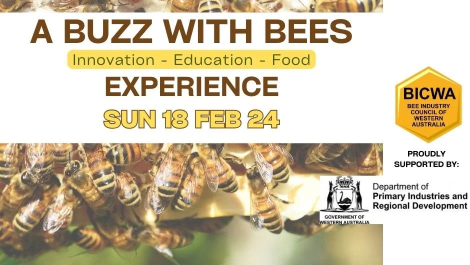 A Buzz with Bees