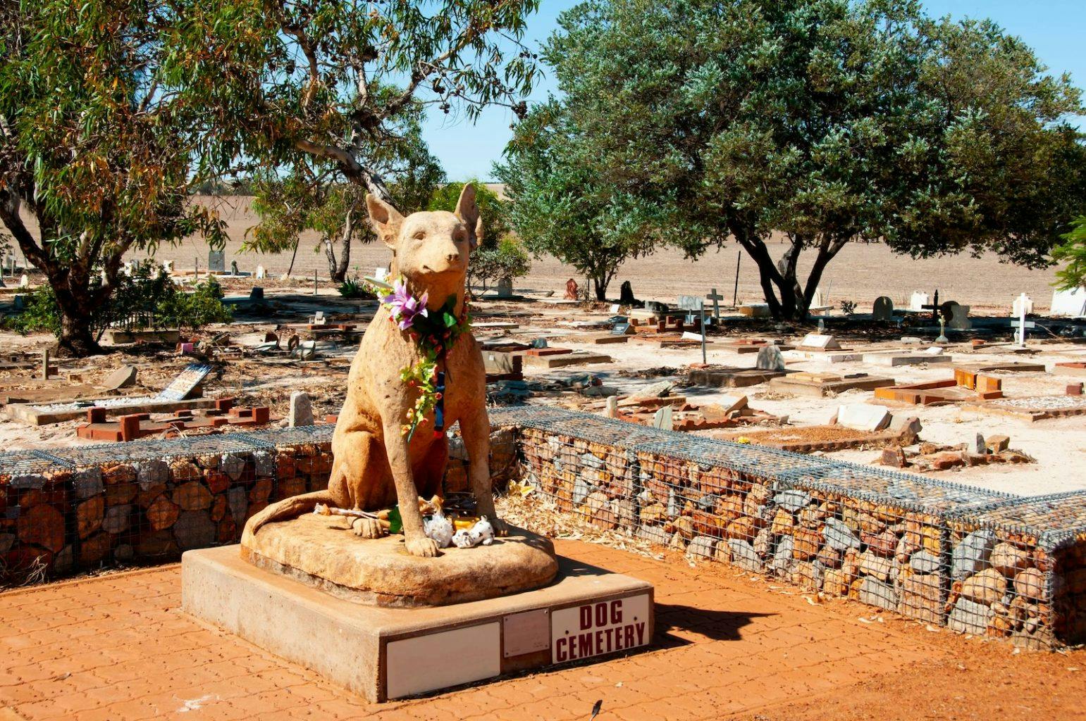 Corrigin Dog Cemetery