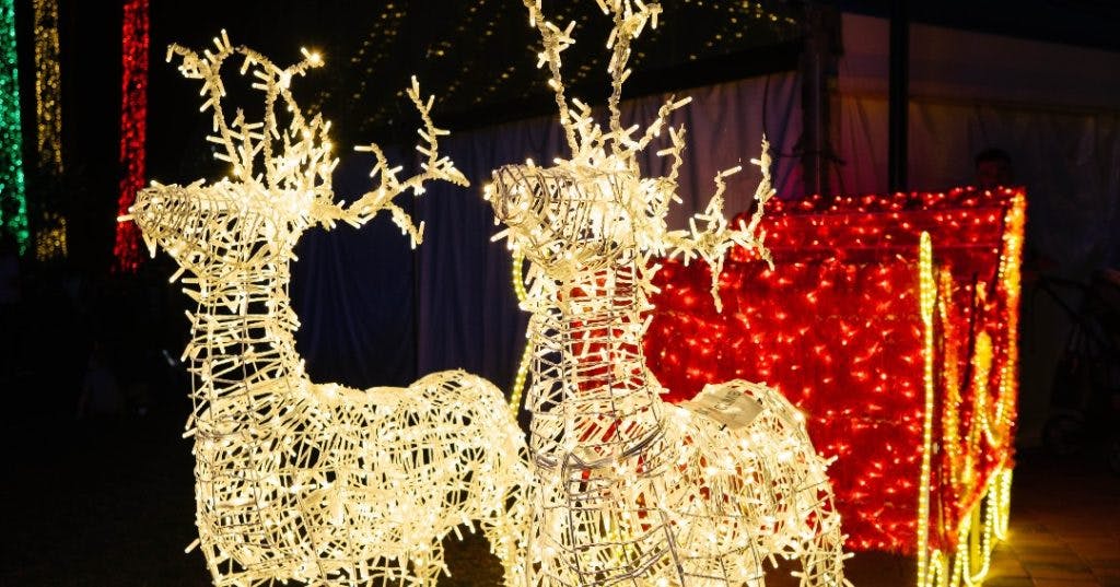 Where to see the best Christmas Lights around Perth - Perth is OK!