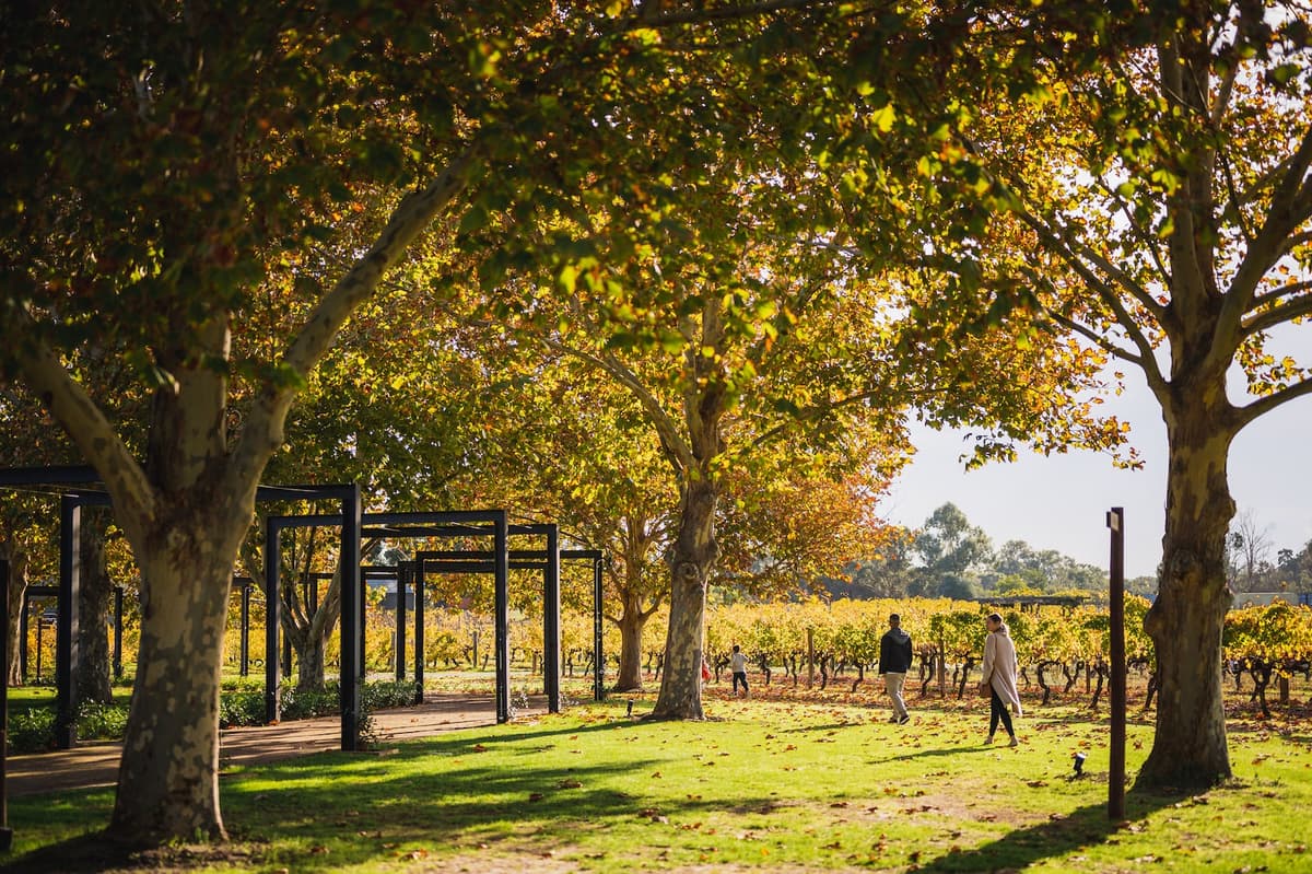 10 reasons to visit stunning Swan Valley this winter